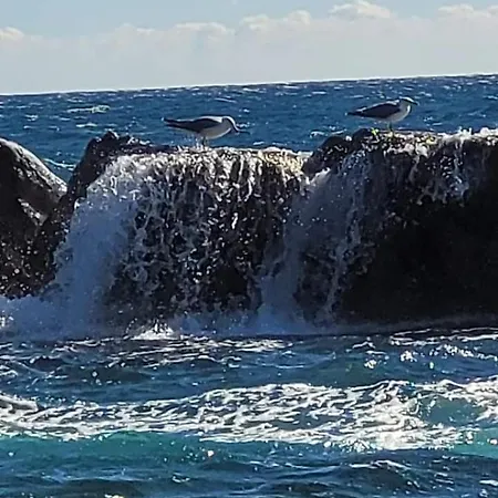 En Paradis 公寓 Saint-Raphaël