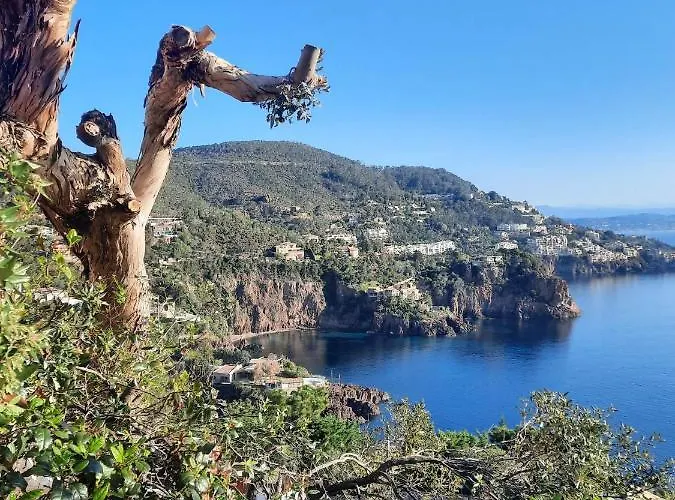 En Paradis アパート