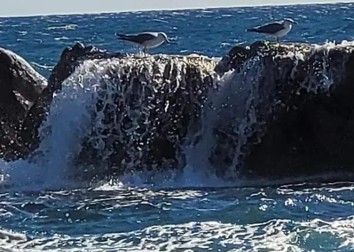 En Paradis アパート Saint-Raphaël